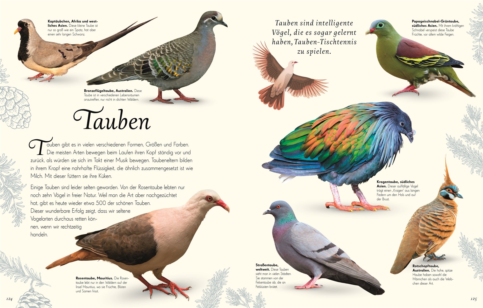 Wundervolle Welt der Vögel
