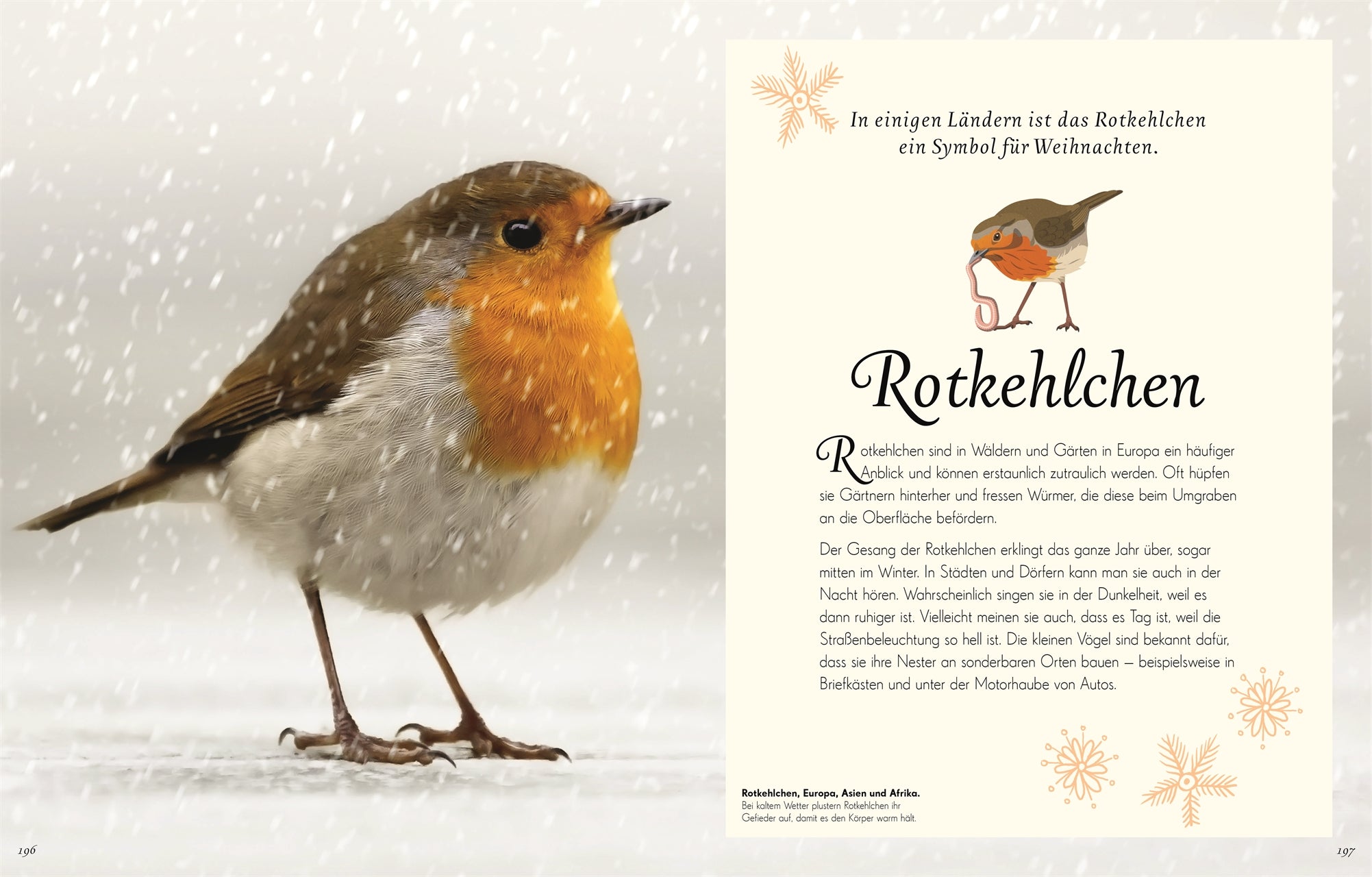 Wundervolle Welt der Vögel