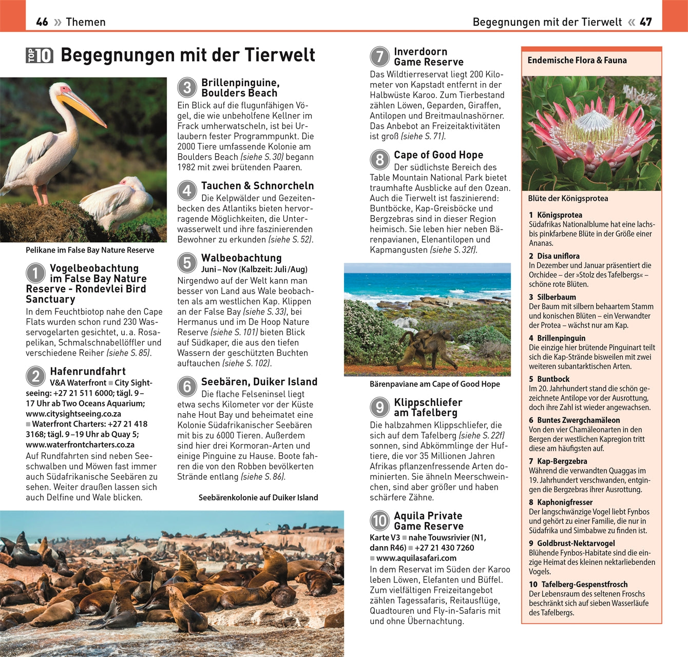 Kapstadt - TOP 10