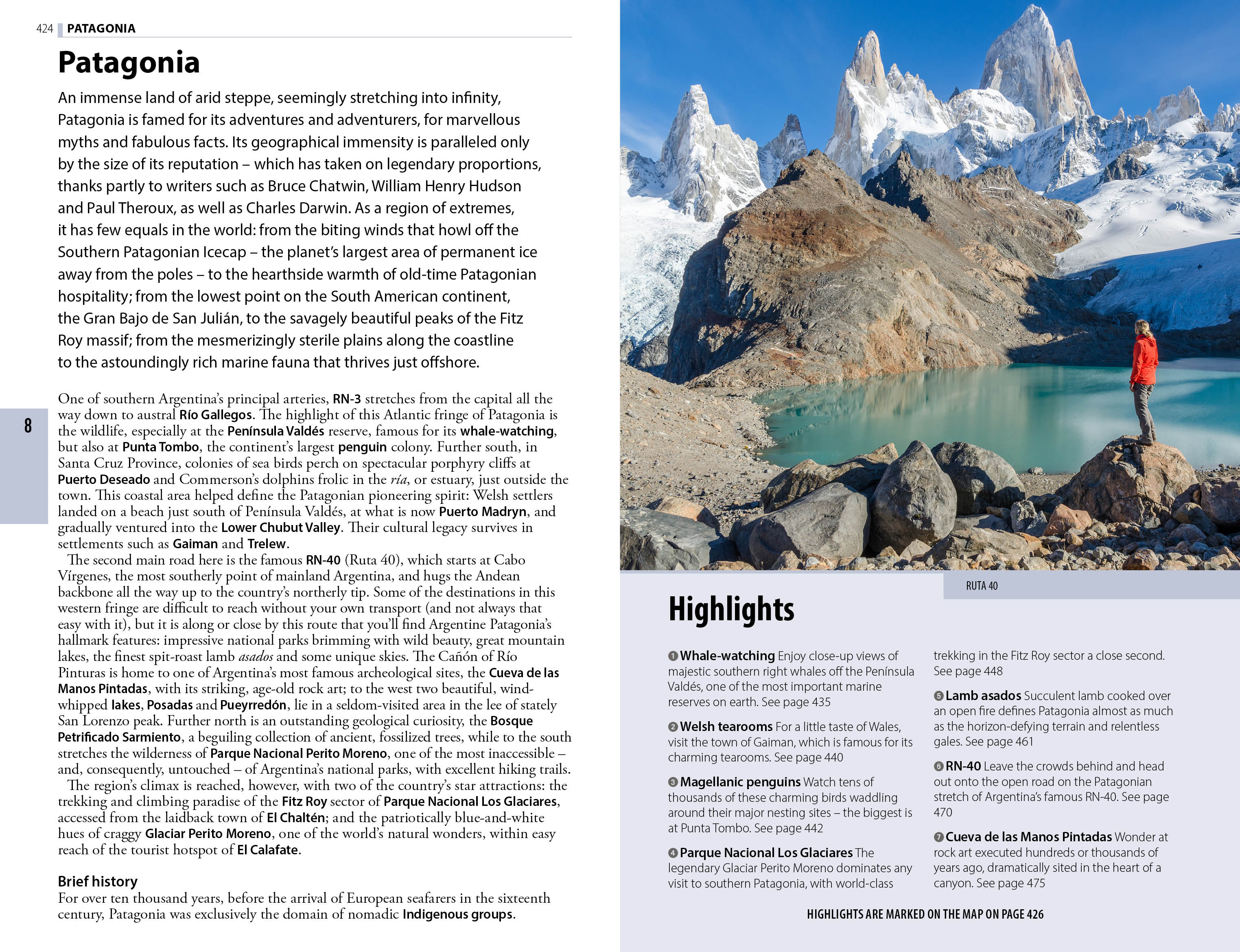 The Rough Guide to Argentina