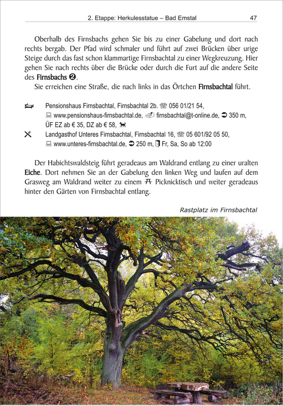 Habichtswaldsteig