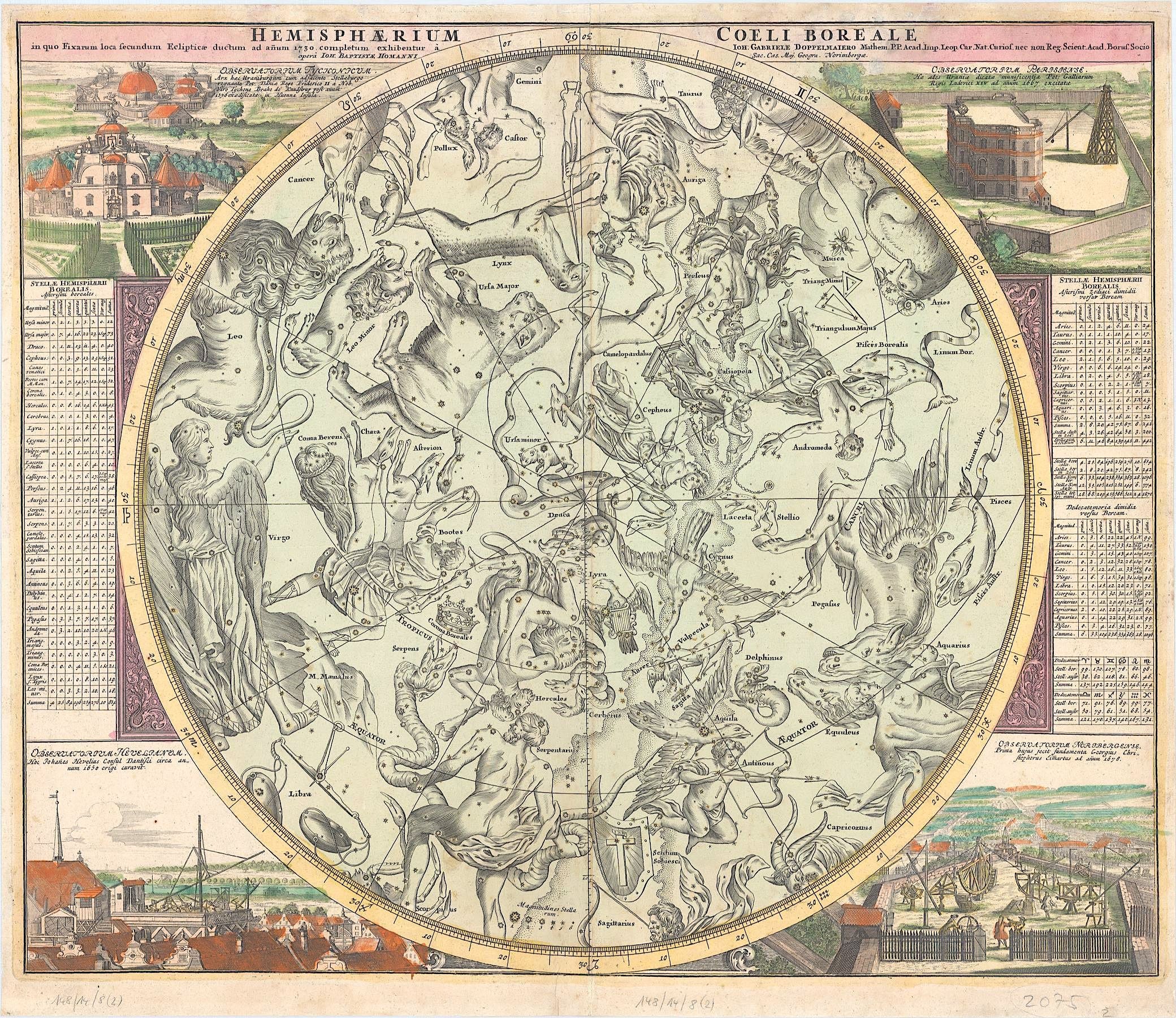 Sternbilder der nördlichen Hemisphäre von Johann Gabriel Doppelmayr &amp; Johann Baptist Homann