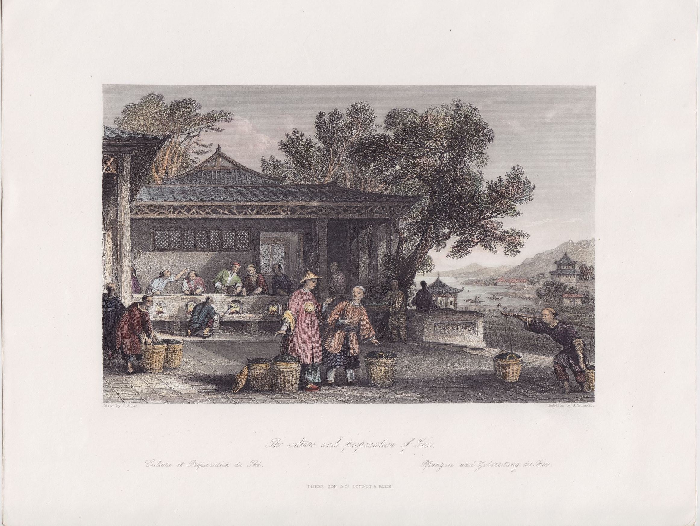 Chinesische Teeplantage im Jahr 1843
