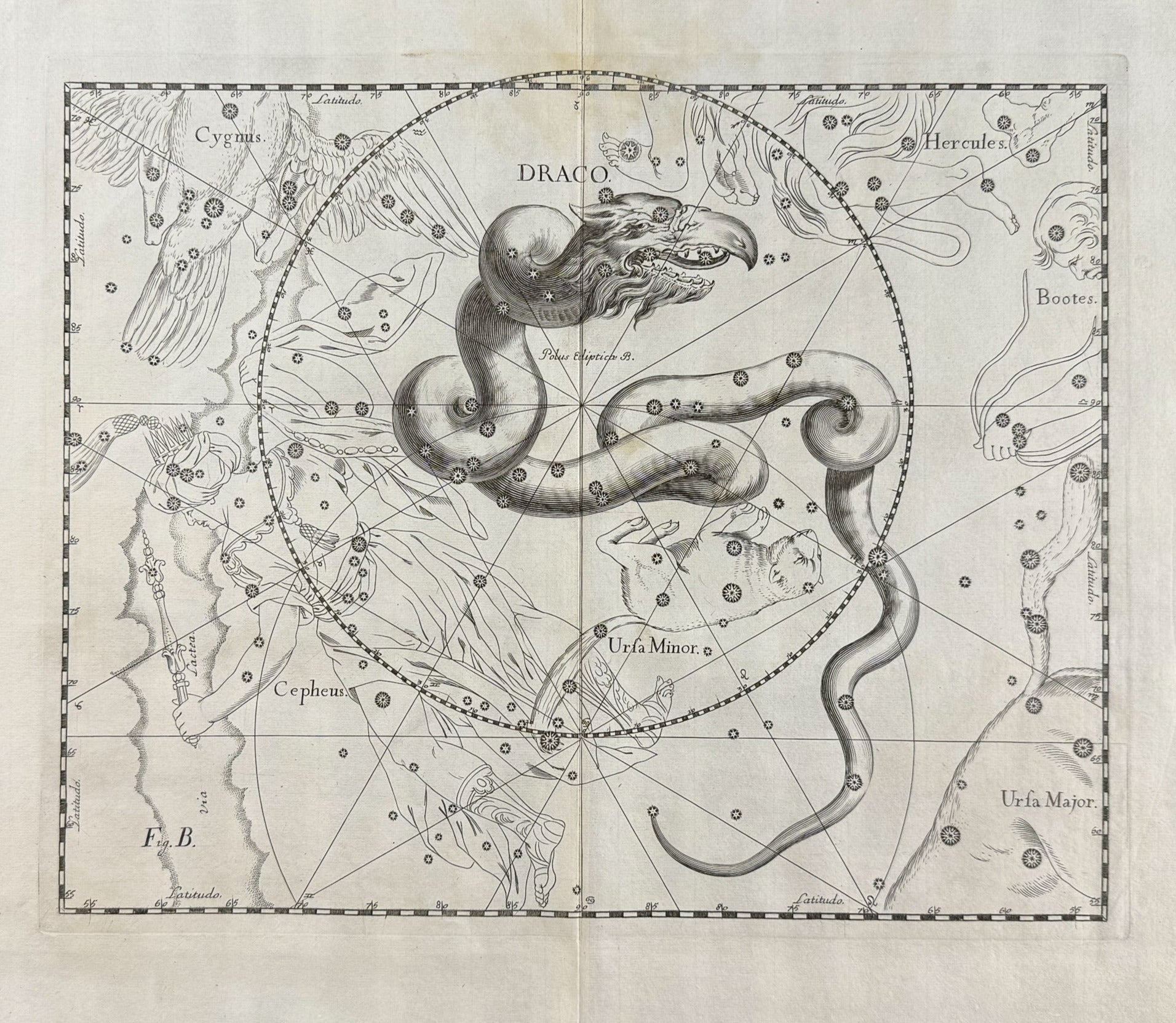 Sternbild des Drachen im Jahr 1690
