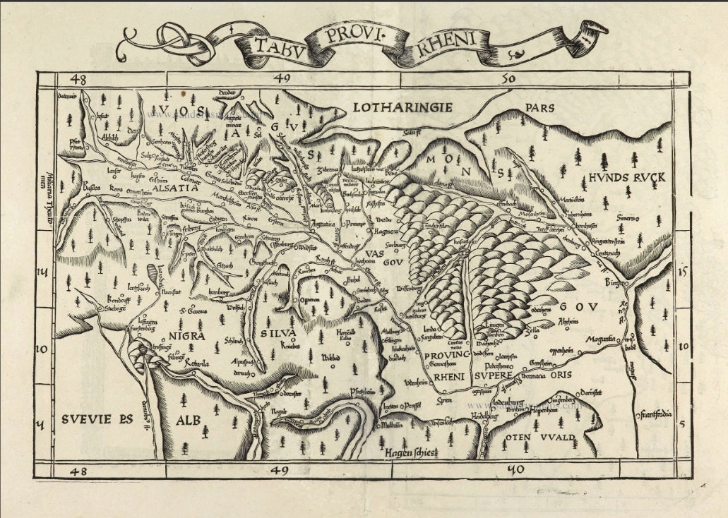 Rhein, Elsass und Basel im Jahr 1525