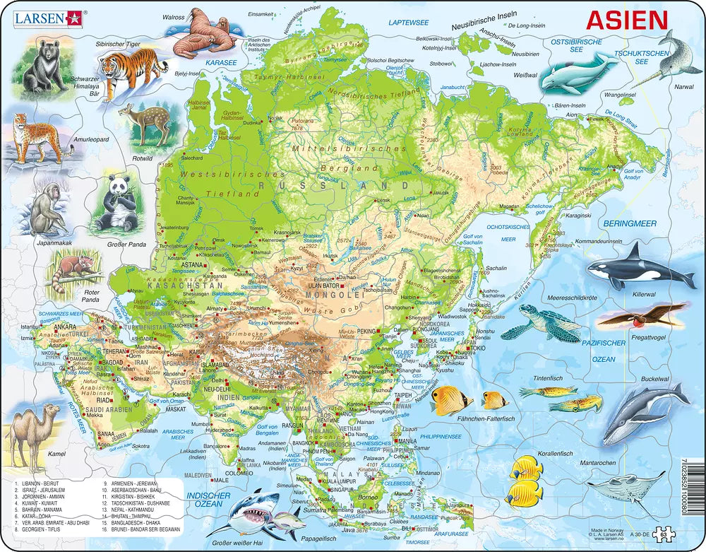 Asien Physisch - Larsen Puzzle