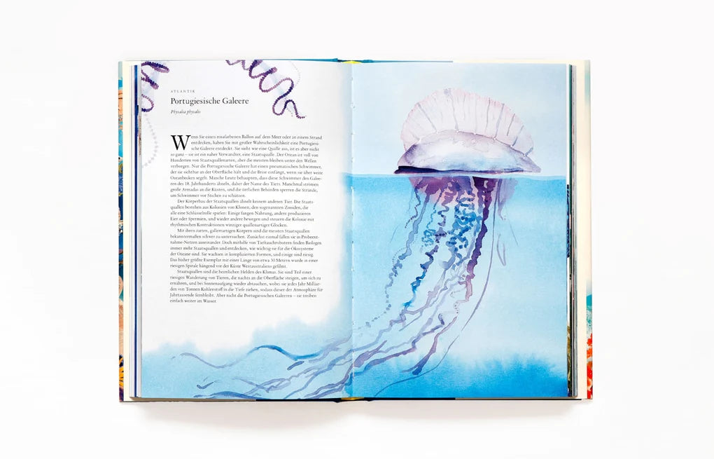 In 80 Meerestieren um die Welt