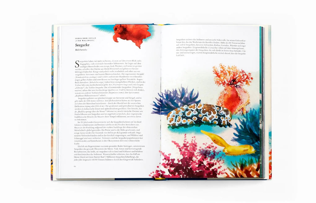 In 80 Meerestieren um die Welt