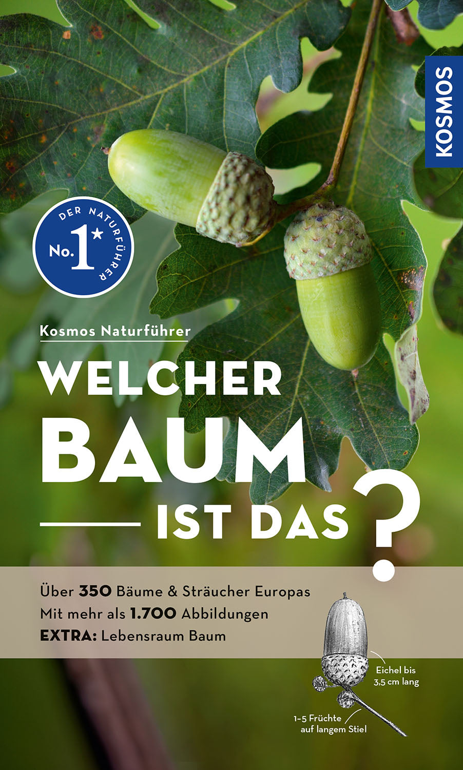 Kosmos Baumführer: Welcher Baum ist das?