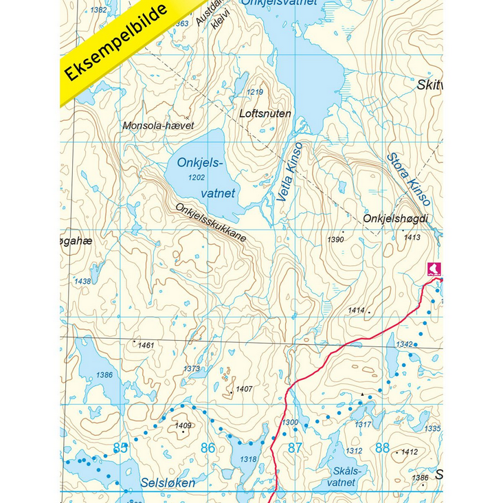 Hardangervidda Vest 1:50.000 - Turkart