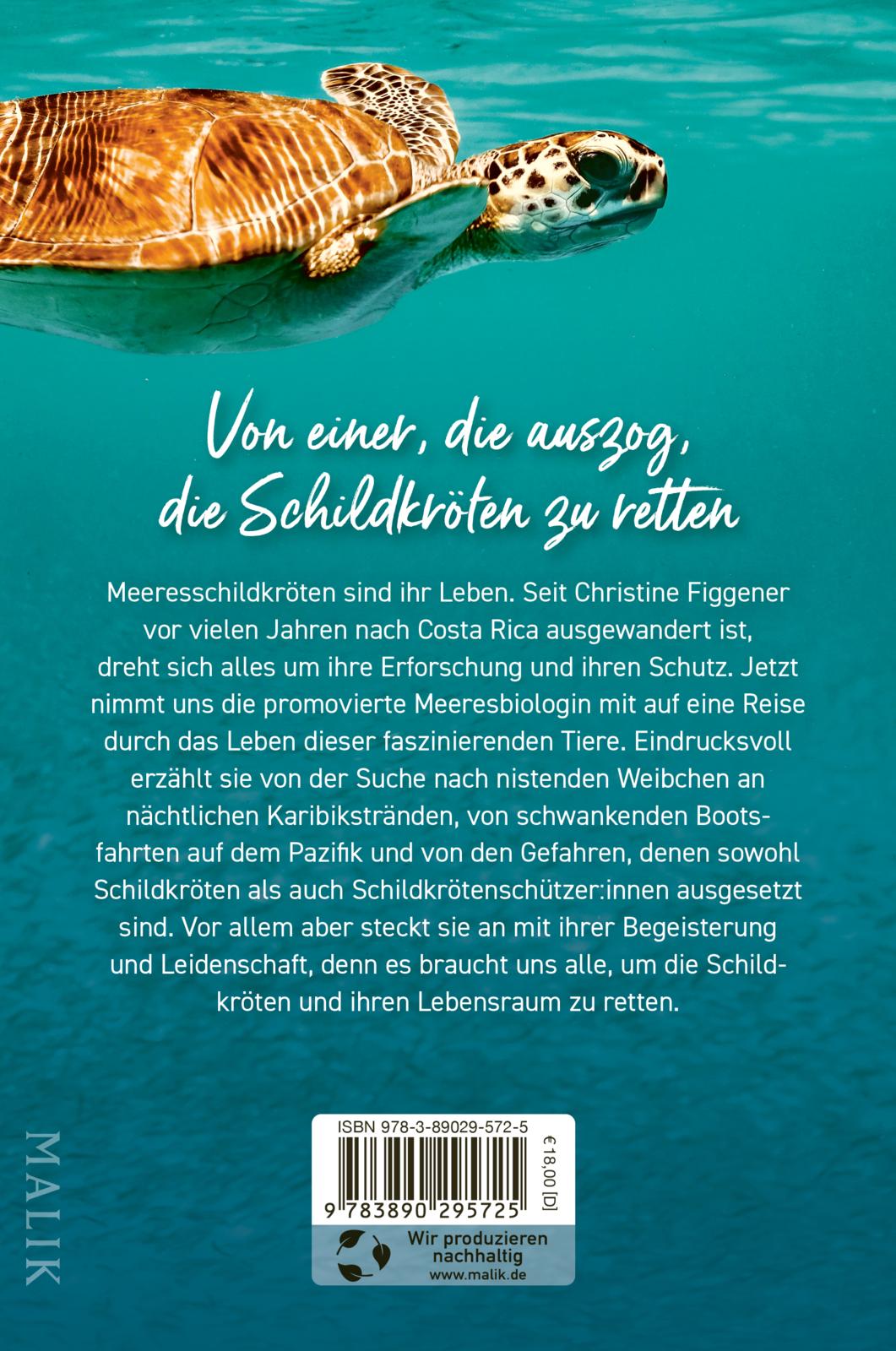 Meine Reise mit den Meeresschildkröten