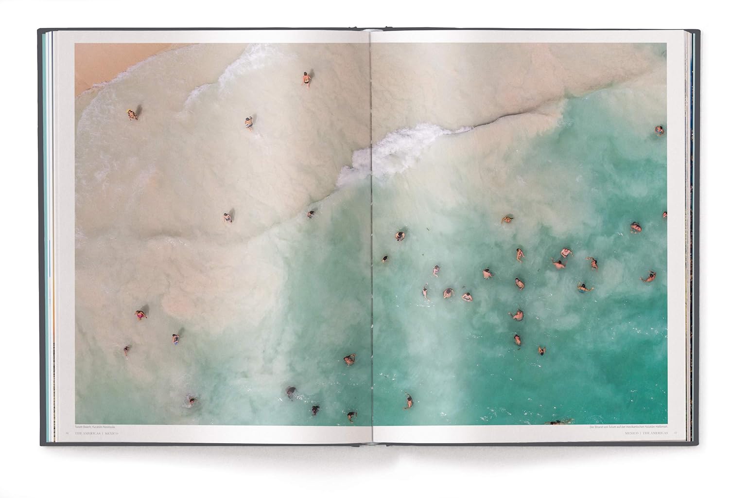 Michael Poliza - The World Collector's Edition