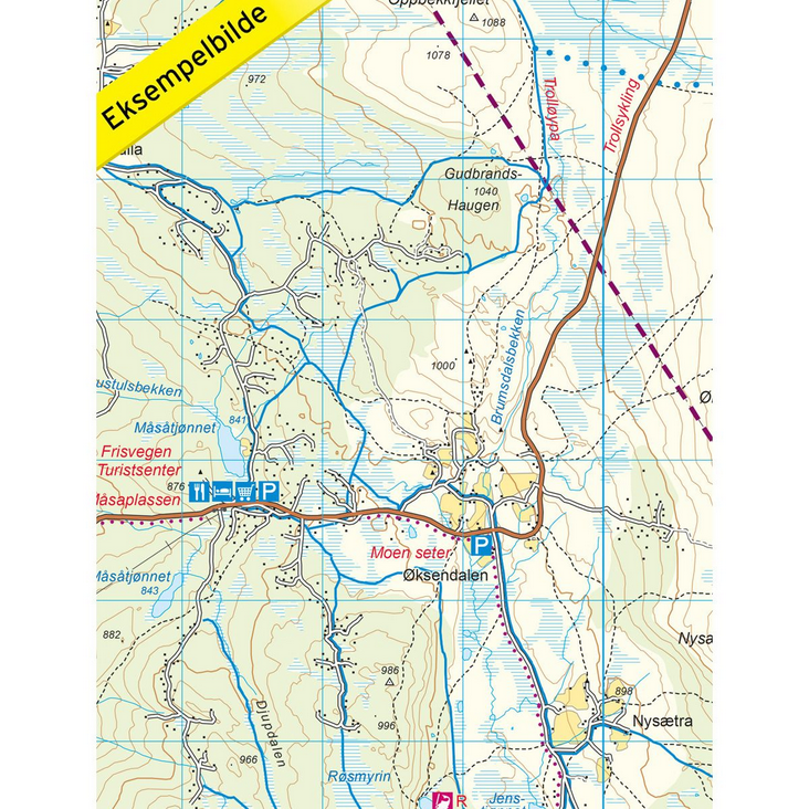 Ringebu 1:50.000 - Turkart
