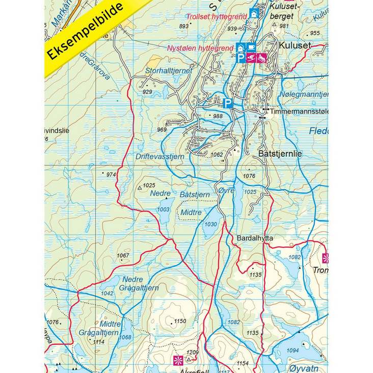 Nesbyen 1:50.000 - Turkart