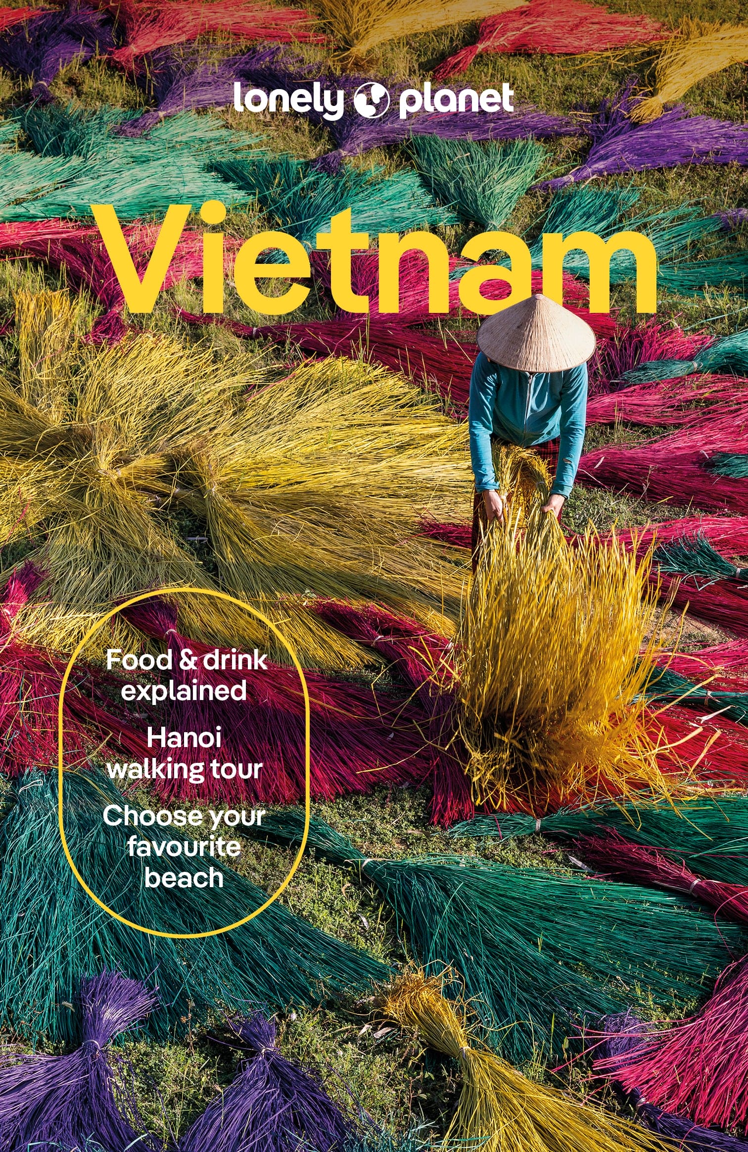 Vietnam - Lonely Planet