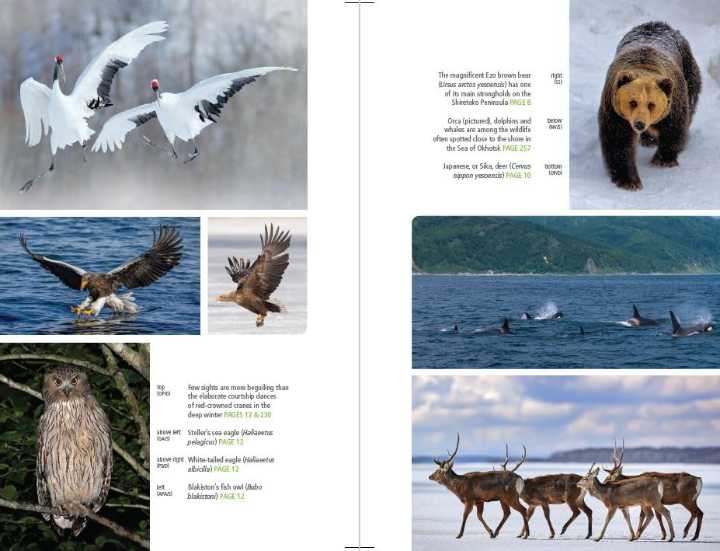 Hokkaido - Bradt Travel Guides