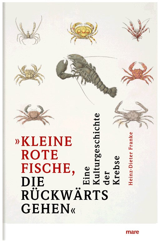 Kleine rote Fische, die rückwärts gehen