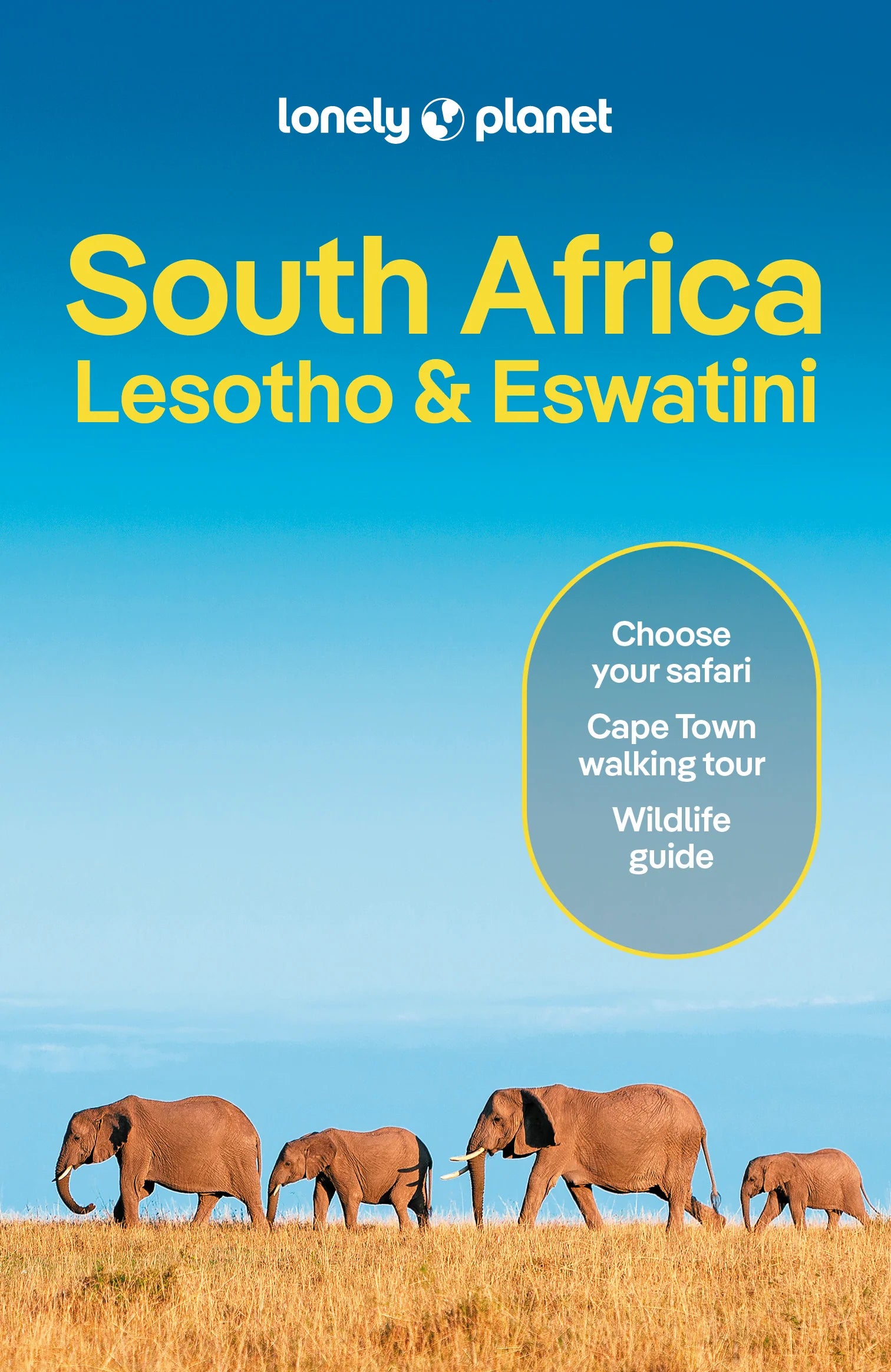 South Africa, Lesotho and Swaziland - Lonely Planet