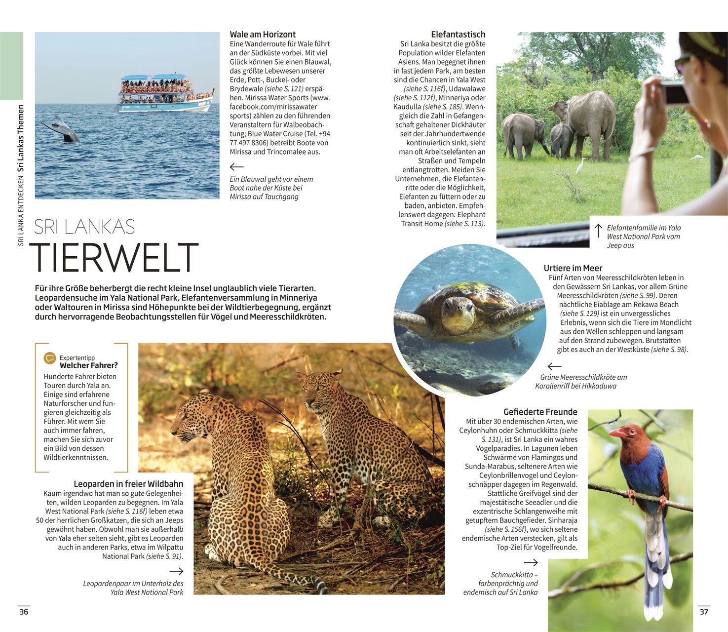 Vis-à-Vis Sri Lanka