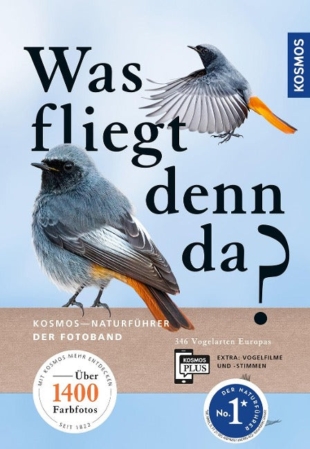 Was fliegt denn da?
