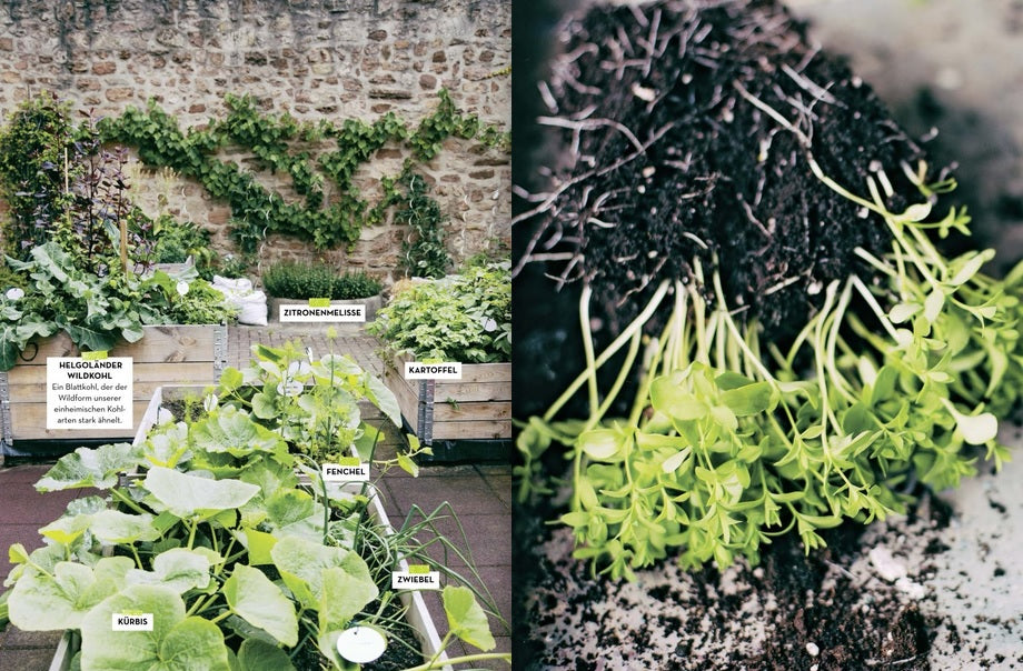 Garden your city - Wenn die Stadt zum Garten wird