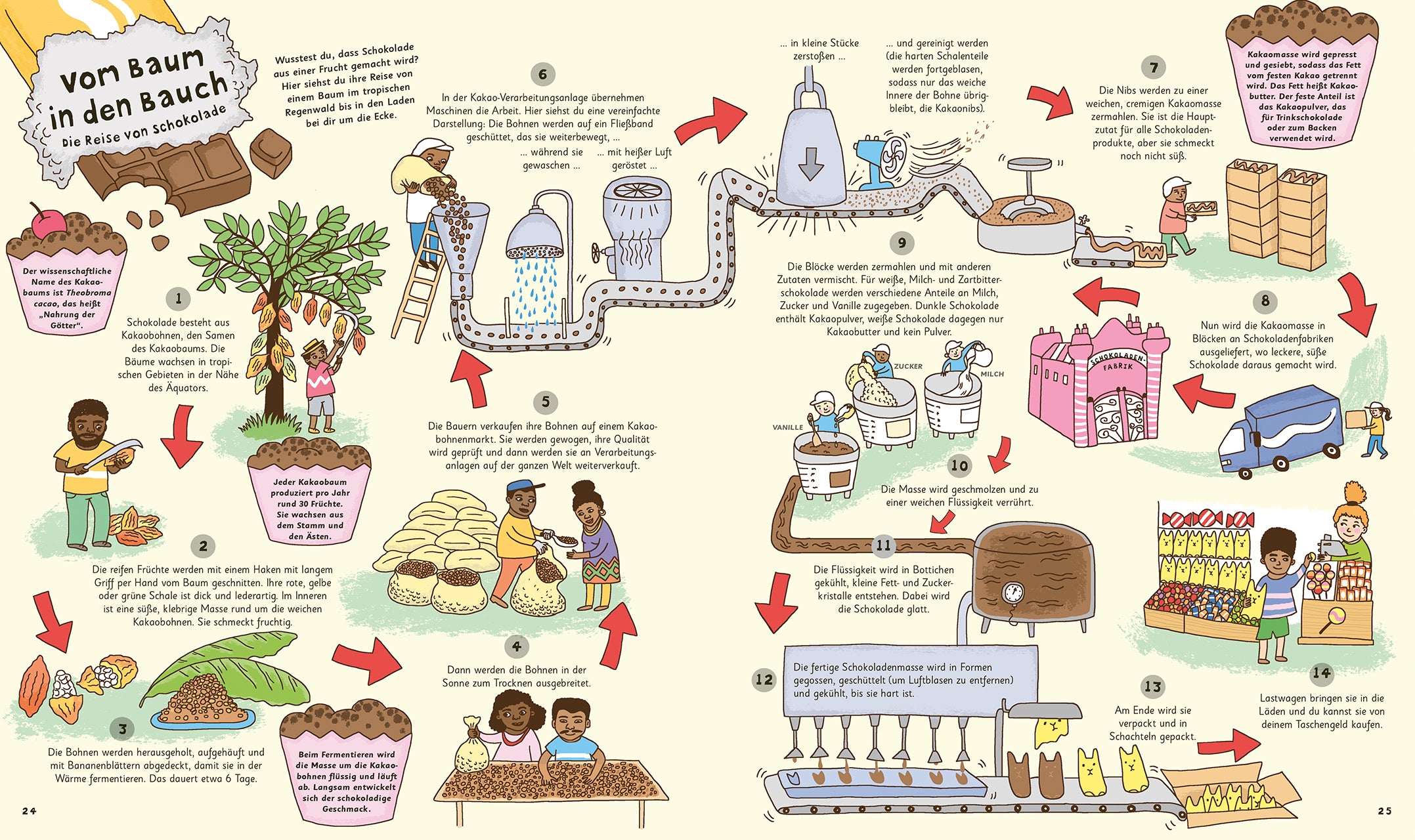 Wie kommt die Milch in die Tüte? Der Kreislauf alltäglicher Dinge
