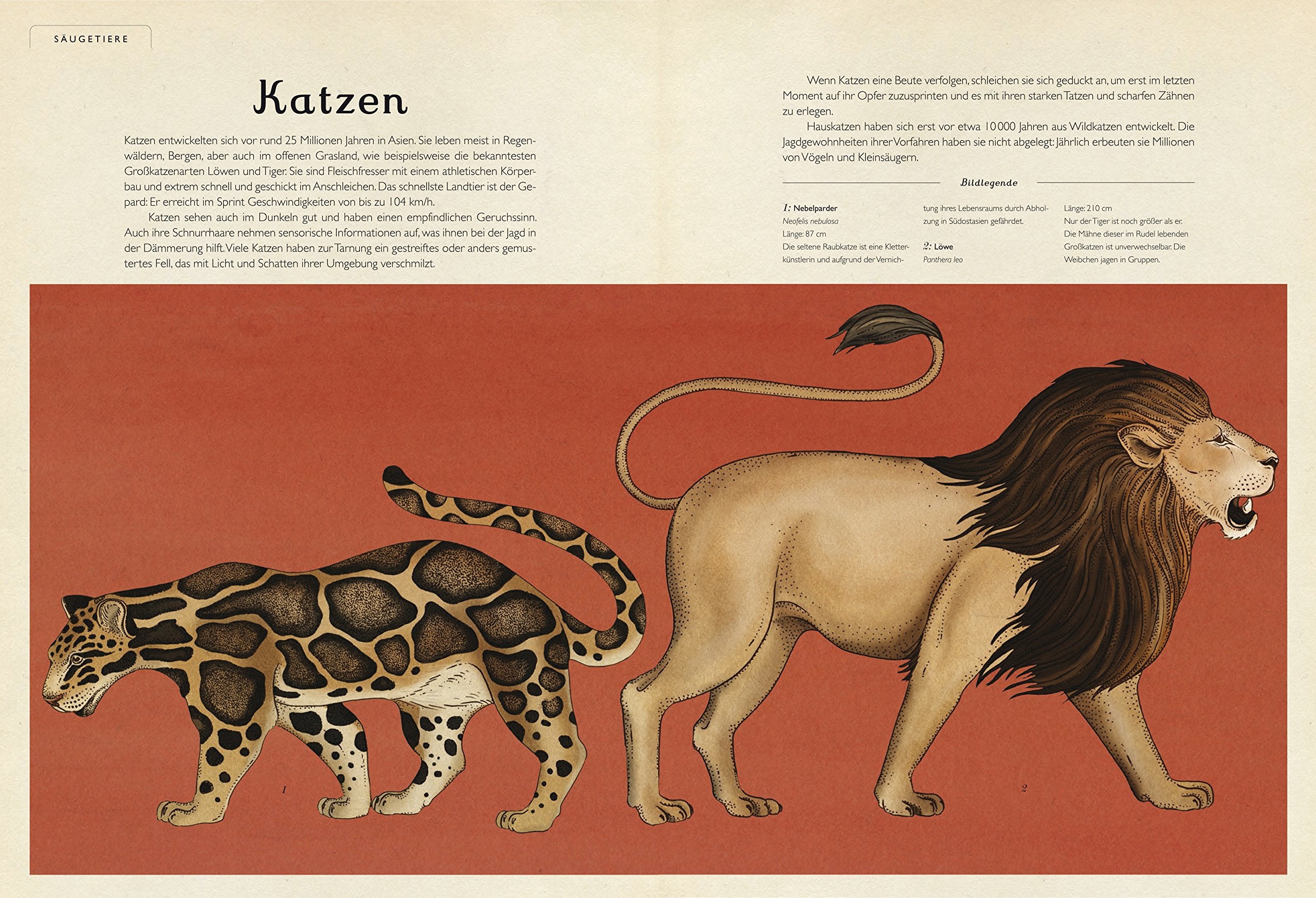 Das Museum der Tiere