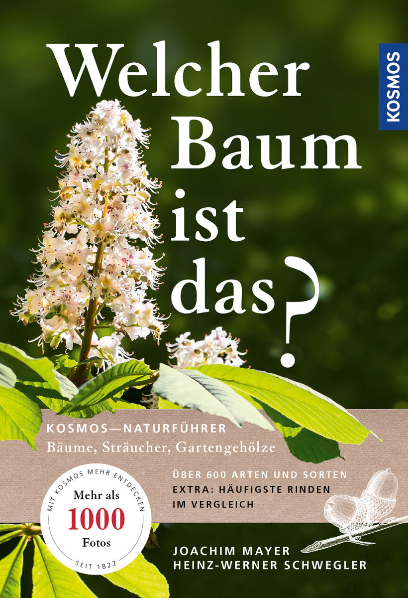 Welcher Baum ist das? Bäume, Sträucher, Gartengehölze - Kosmos Naturführer