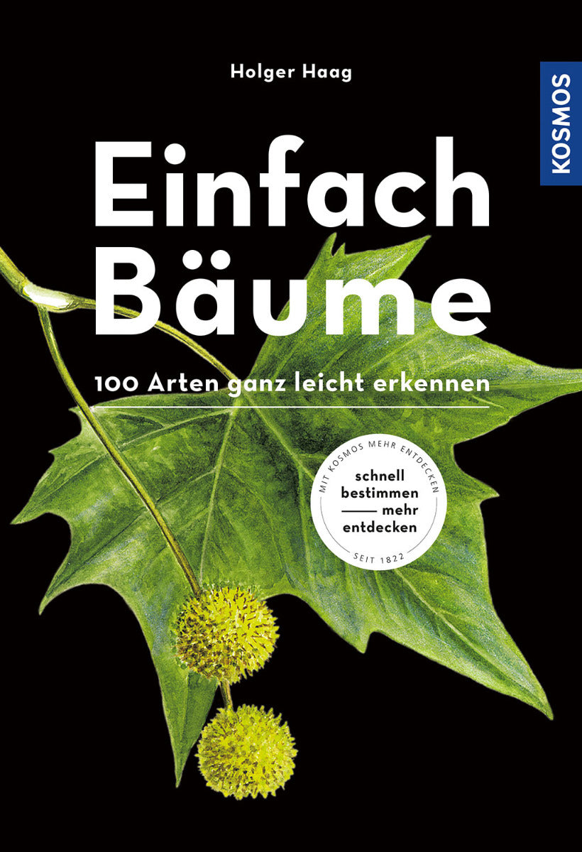 Einfach Bäume - 100 Arten ganz leicht erkennen