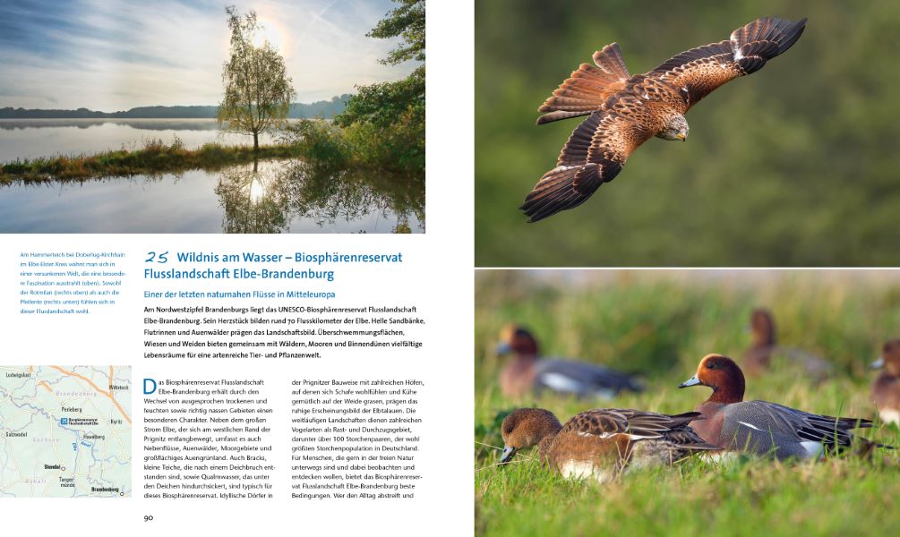 Wildes Deutschland - 100 Highlights Bruckmann Bildband