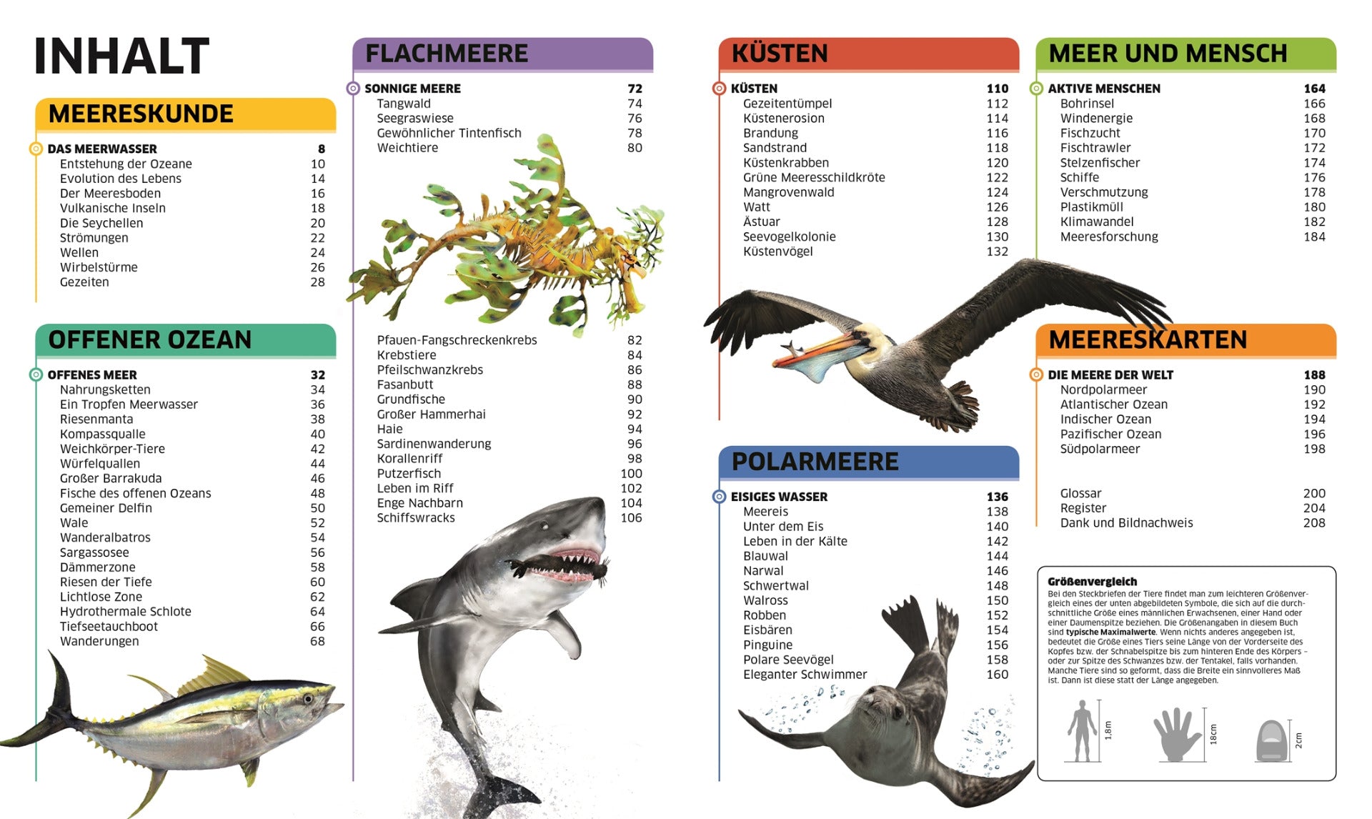 Ozeane - Meereswelten - DK Wissen