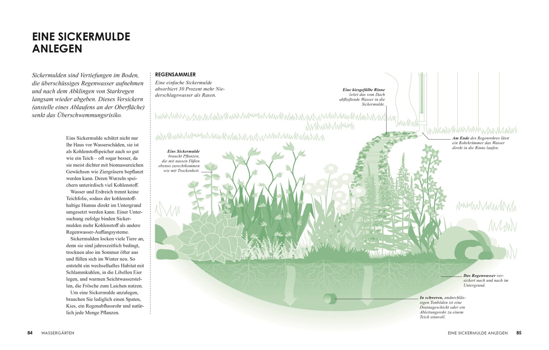 Klimafreundlich gärtnern