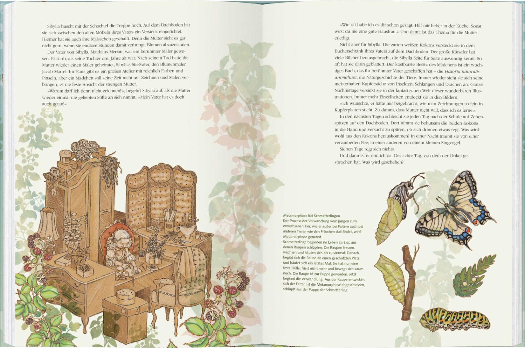 Die Reise ins verborgene Reich der Schmetterlinge