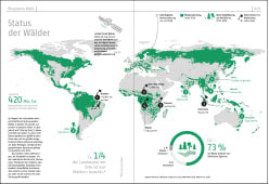 Das Waldbuch - Alles, was man wissen muss, in 50 Grafiken