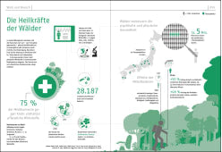 Das Waldbuch - Alles, was man wissen muss, in 50 Grafiken