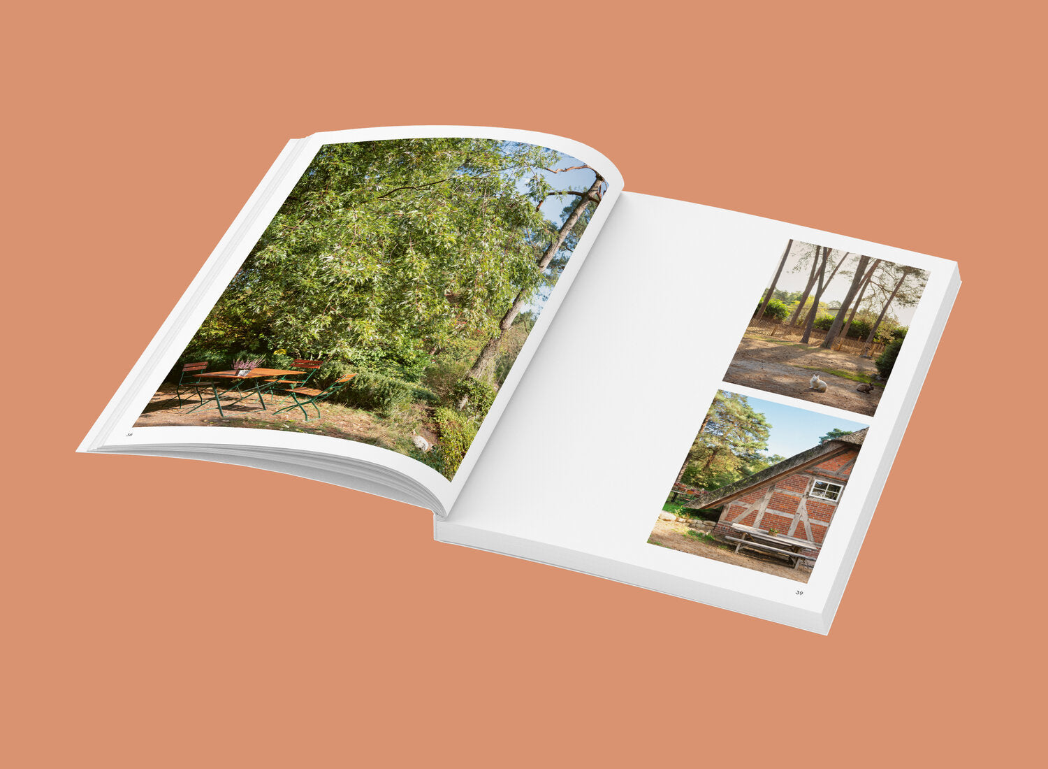 Wochenender: Lüneburger Heide