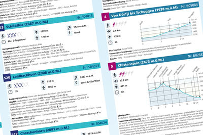 Winter Erlebniskarte 3 Surselva, Flims und Laax - 1:40.000