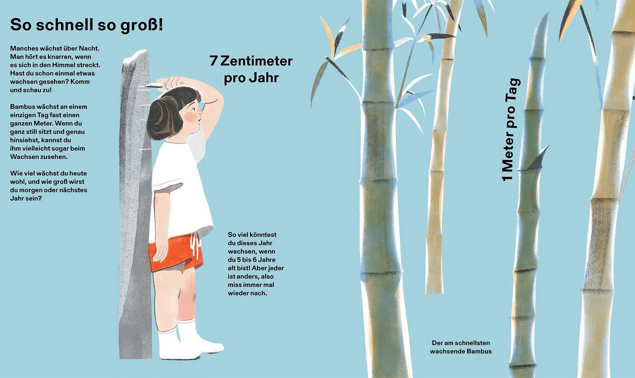 Wie groß? Wie weit? Wie schnell? Die Welt und ich