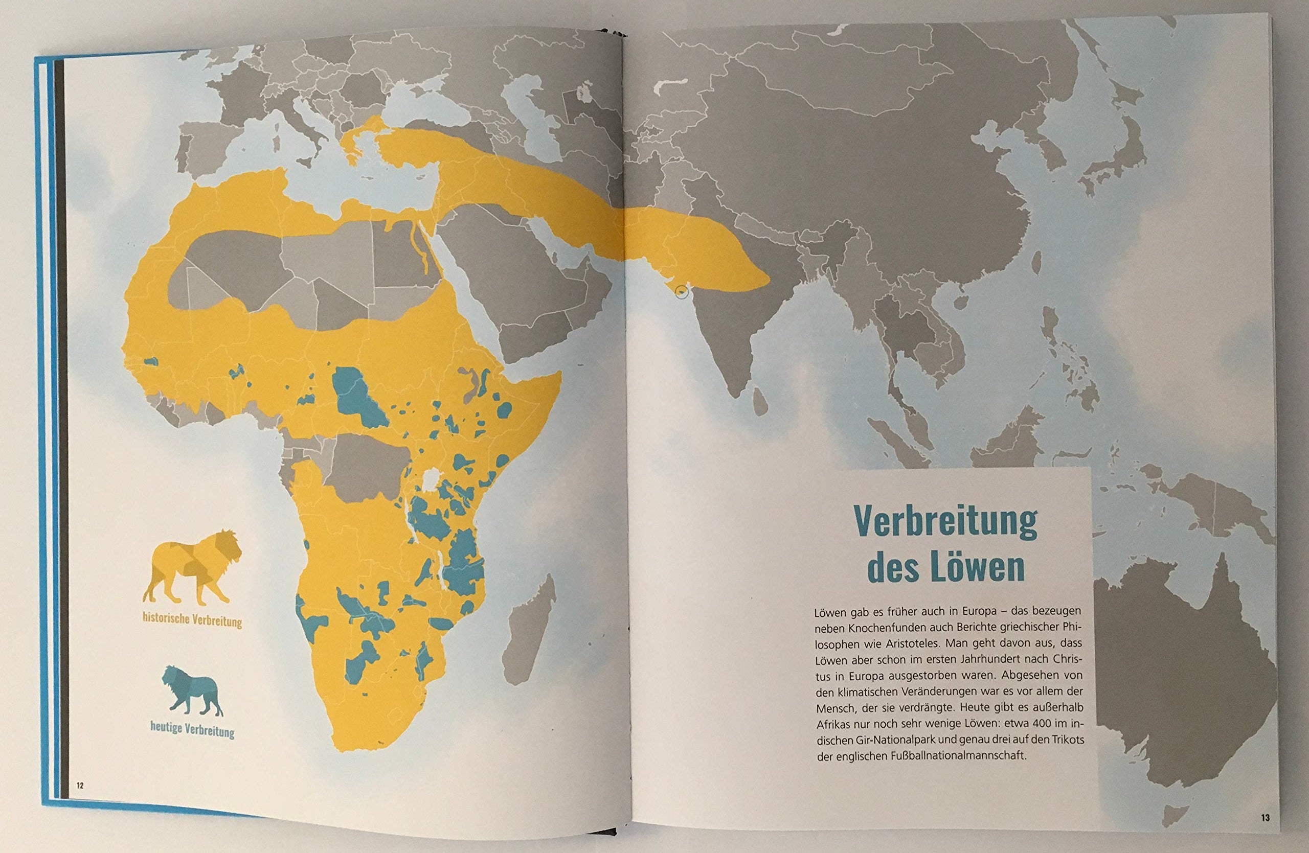 100 Karten, die deine Sicht auf die Welt verändern