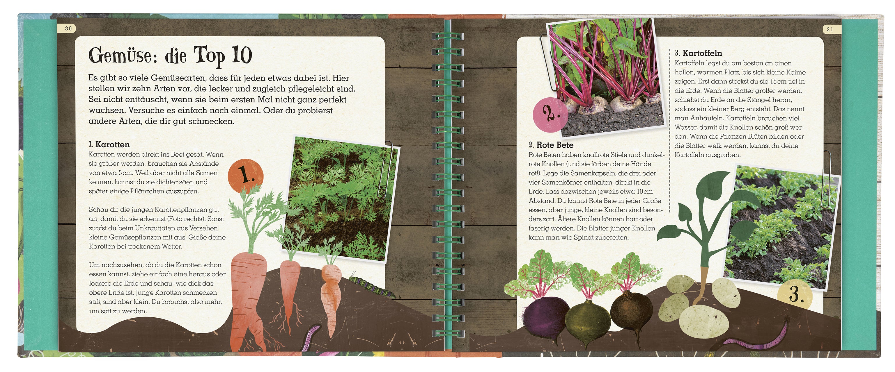 Grün - Mein Mitmach-Gartenbuch Obst und Gemüse selber ziehen!