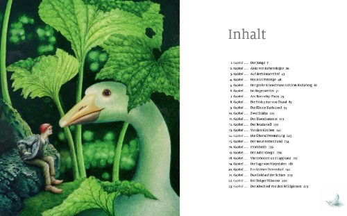 Die wunderbare Reise des Nils Holgersson mit den Wildgänsen von Selma Lagerlöf