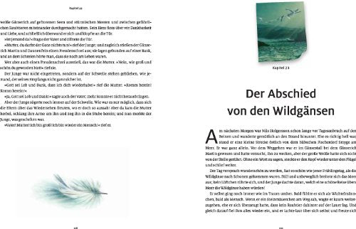 Die wunderbare Reise des Nils Holgersson mit den Wildgänsen von Selma Lagerlöf