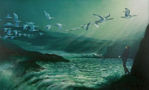 Die wunderbare Reise des Nils Holgersson mit den Wildgänsen von Selma Lagerlöf