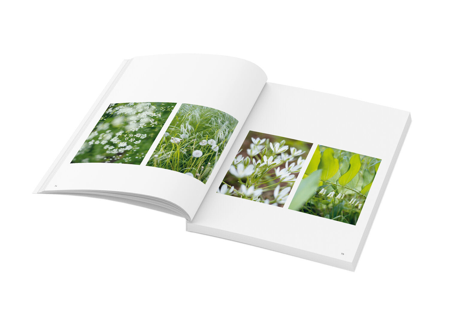 Wochenender: Brandenburg Südwesten