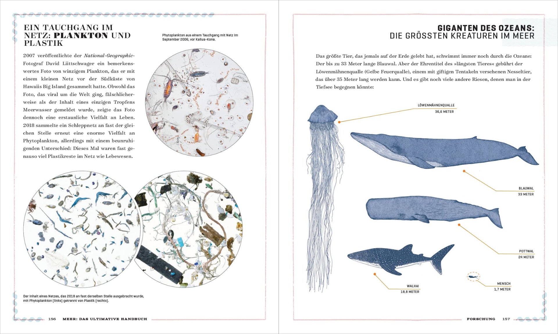 Meer - Das ultimative Handbuch.