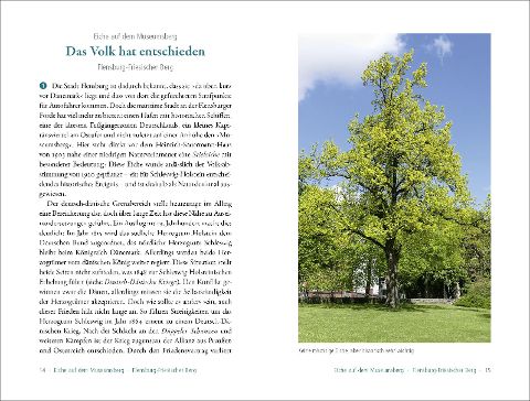 50 sagenhafte Naturdenkmale in Schleswig-Holstein