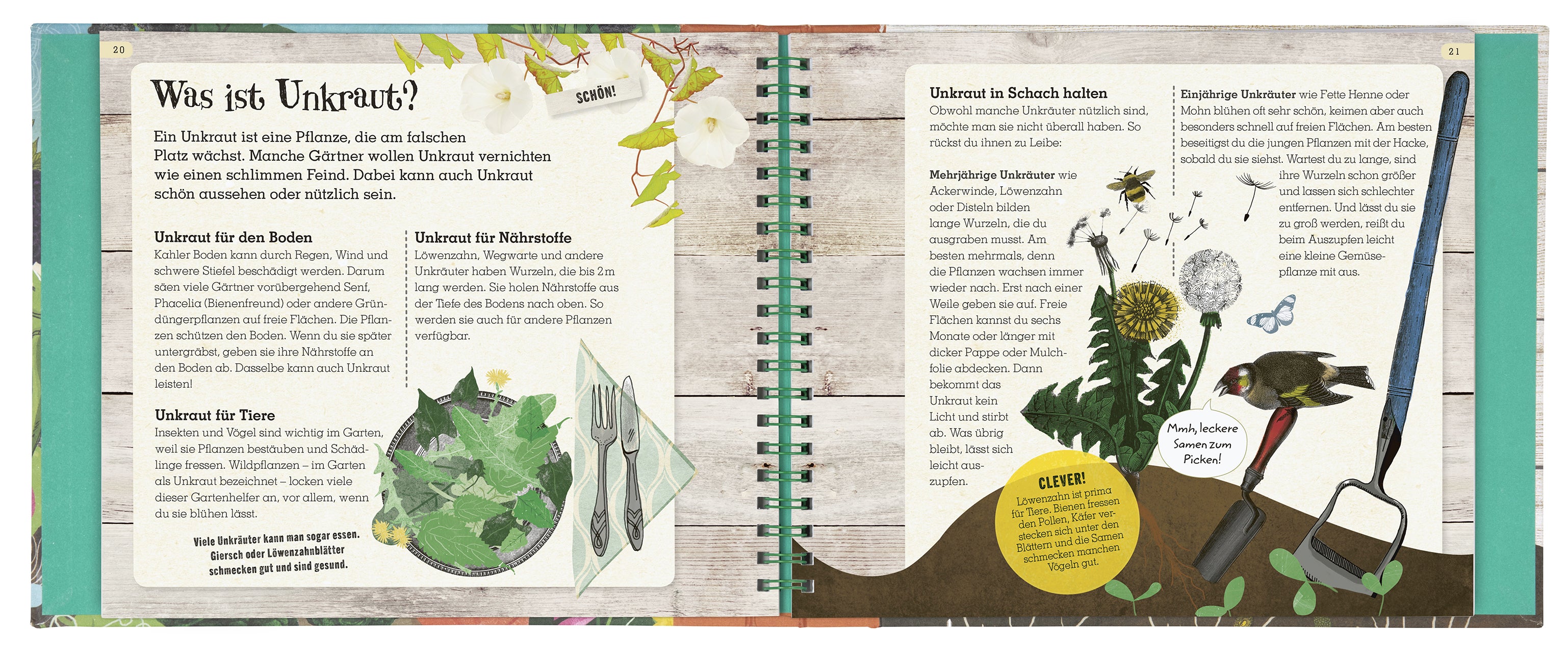 Grün - Mein Mitmach-Gartenbuch Obst und Gemüse selber ziehen!