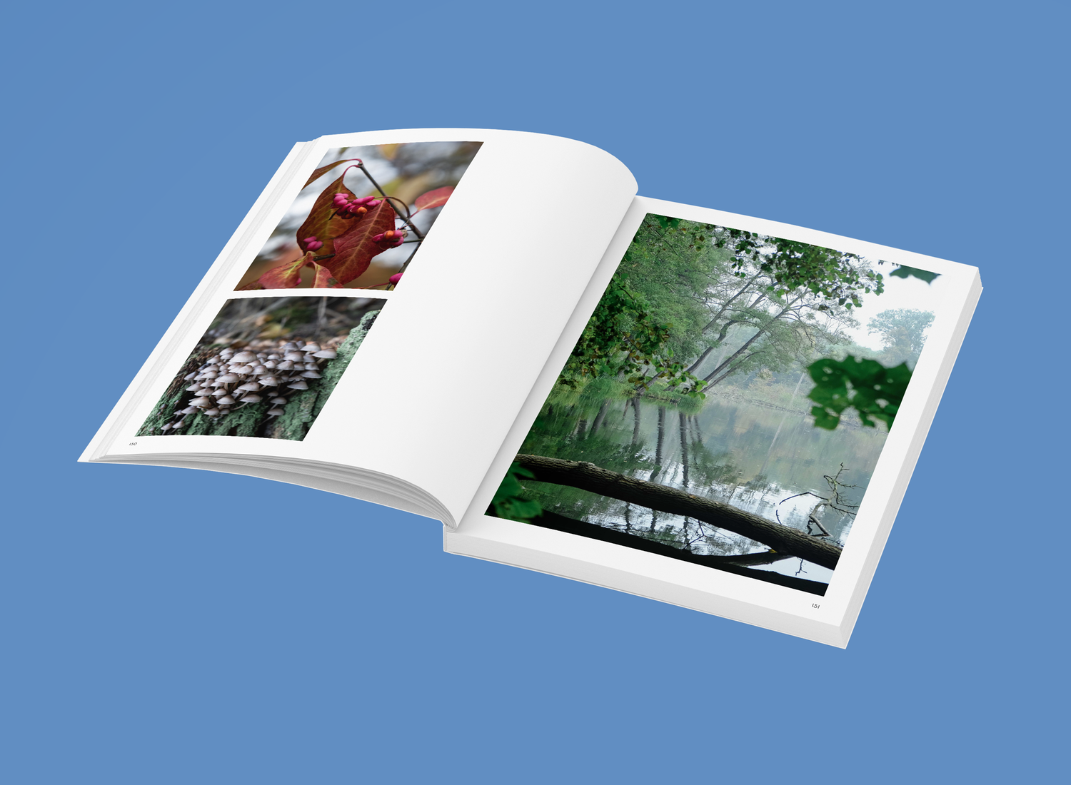 Wochenender: Brandenburg Nordosten