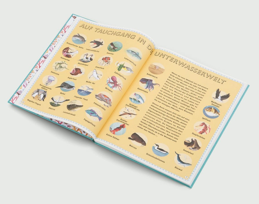 Der Atlas der Ozeane