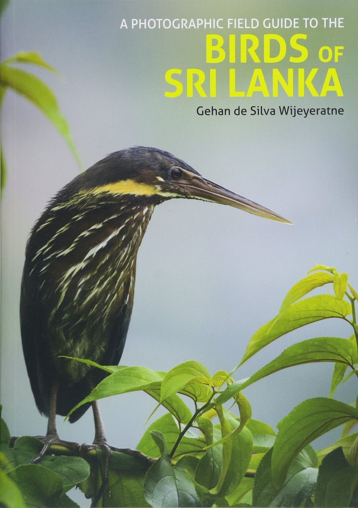Photographic Field Guide to the Birds of Sri Lanka